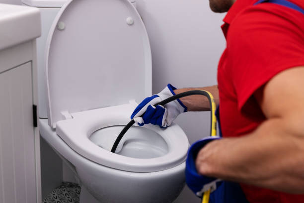 Best Clogged Drain Plumber  in Hoopeston, IL